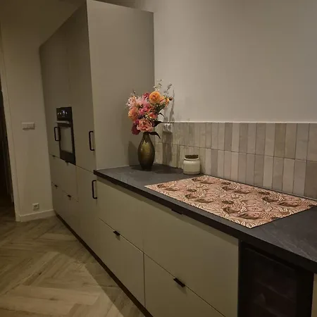 Dom wakacyjny Droomhuis Aan Zee