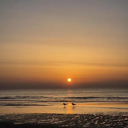 Droomhuis Aan Zee